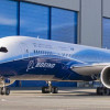 Пожар на эфиопском Dreamliner начался не из-за аккумуляторов