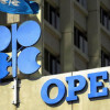 Баррель нефти ОПЕК 18 июля подорожал на 0,8%