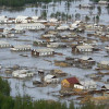 В России уровень воды в районе Хабаровска достиг исторического максимума