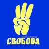 «Свобода» намерена блокировать заседание Киевсовета 19 августа