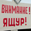 Вспышка ящура зафиксирована на Дальнем Востоке