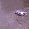 На Одесчине власти оставили жертв наводнения без жилья