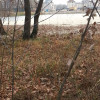 Новые фото «дворца» Иванющенко в Конча-Заспе