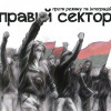 «Правый сектор» проносил оружие на майдан в батонах, а также приготовил напалм + ВИДЕО