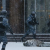 На Институтской во время «временного перемирия» снайпер подстрелил мирного человека