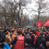 Кличку в Днепропетровске устроили «теплый прием» (ФОТО)