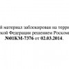 Теперь в России будет не только «зомбоящик», но и «зомбонет»