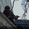 В Одессе сторонник России стрелял по людям с крыши торгового центра (ФОТО)