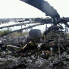 СБУ задержала террористов, которые сбили вертолет с украинскими военными на горе Карачун