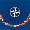 Украина, Молдова и Грузия могут получить статус союзника США, без членства в НАТО