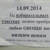 В Крыму «неожиданно» побеждает «Единая Россия» при явке 45,2%