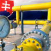 Украина получила 500 миллионов кубов газа из Словакии по цене 320 долларов за тысячу кубов