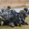 В Польше стартуют масштабные учения военных из 9 стран НАТО