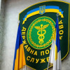 Налоговики хотят запретить проверку бизнеса с оборотом до 20 млн