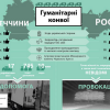 В чем отличие гуманитарного конвоя из Германии и России (ИНФОГРАФИКА)