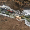 СБУ не позволила боевикам совершить теракты на избирательных участках Луганщины (ФОТО)