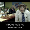 Страна — в ж…, прокуроры снова в шоколаде!? Или поправка Яремы