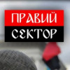«Правый сектор» открестился от нардепа Березы