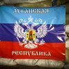 Реформа «армии ЛНР»: местных «ополченцев» и российских наёмников рассортируют