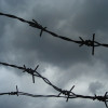 Россияне пытаются вывести свои активы из РФ через Беларусь