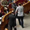 Радикалы устроили в Раде потасовку