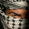 «Аль-Каида» захватила часть территории Йемена