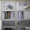 Китайских чиновников сводили на экскурсию в тюрьму