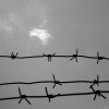 Россия активно строит баррикады и копает рвы на границе с Донбассом