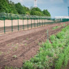 Кихтенко и брата Таруты привлекут к ответственности