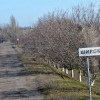Милиция Украины и «милиция «ДНР» совместно будут патрулировать Широкино