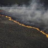 В Чернобыльской пуще тлеет торф еще на более чем 5 гектарах леса