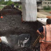 СБУ задержала 11 вагонов контрабанды для террористов (ФОТО+ВИДЕО)
