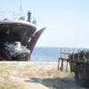 ВМС провели тактические учения морской пехоты