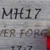 Пять стран могут создать независимый трибунал о MH17