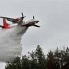 На Киевщине спасатели продолжают тушить 19 гектаров хвойного леса