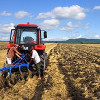Аграрии Житомирской области собрали 50% ранних зерновых