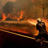 Около 1,5 тысячи человек эвакуированы в Калифорнии из-за лесного пожара