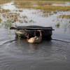 В России после паводка на Дальнем Востоке не подлежат восстановлению 2 тыс домов