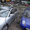 Киевлян попросили убрать машины из-под деревьев из-за надвигающегося урагана