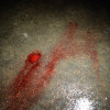 Беркут опять «работает» избиты активисты и журналисты (ФОТО, ВИДЕО)