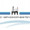 Черноморнефтегаз дал 33млн фирмам созданным в один день
