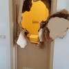 В Сочи спасшийся из ванной бобслеист застрял в лифте (ФОТО)