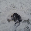 В Одессе на пляже обнаружили труп в замерзшем море (ФОТО 18+)