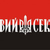 В случае агрессии России в Крыму «Правый сектор» обещает поднять революцию в Москве