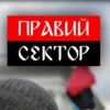 Под Луганском около ста вооруженных людей блокируют дорогу в ожидании «Правого сектора» со стороны России — милиция