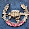 Добровольцы истребили снайперов элитного российского спецподразделения «Витязь»
