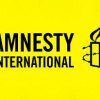 Правозащитная организация Amnesty International раскритиковала принятый закон об амнистии
