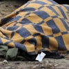В Швейцарии близ Куршевеля найдено тело зверски убитого сына украинского олигарха