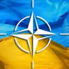 Украина разрабатывает реформу армии совместно с НАТО