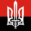 Бойцы «Правого сектора» на оставленных сепаратистами позициях (ВИДЕО)